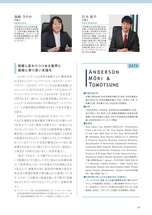 Lawyers Guide 2023